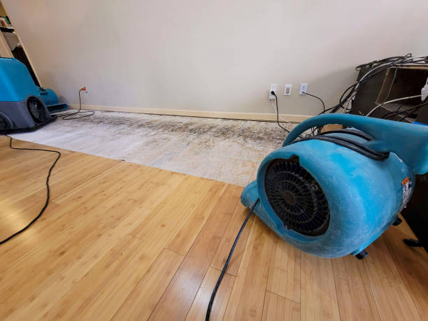 Professional Structural Drying technician working in Mount Calvary, WI